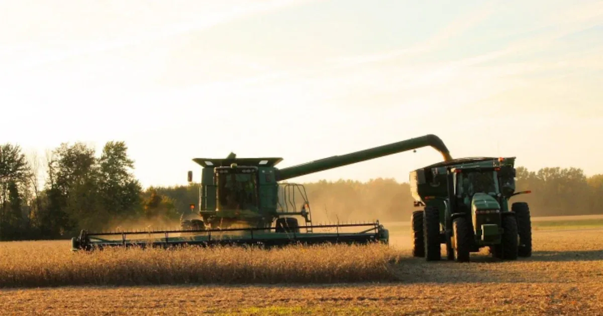 Citi eleva preço-alvo da SLC Agrícola e alerta para riscos do El Niño