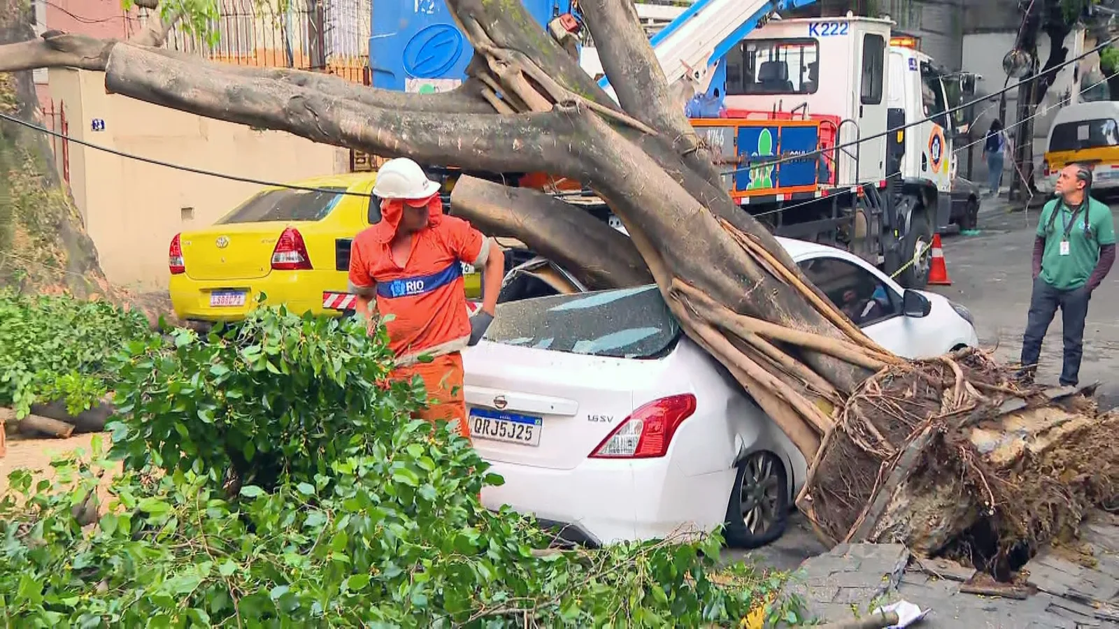 Ventania derruba árvores no Rio e traz previsão de chuva e rajadas nesta quarta