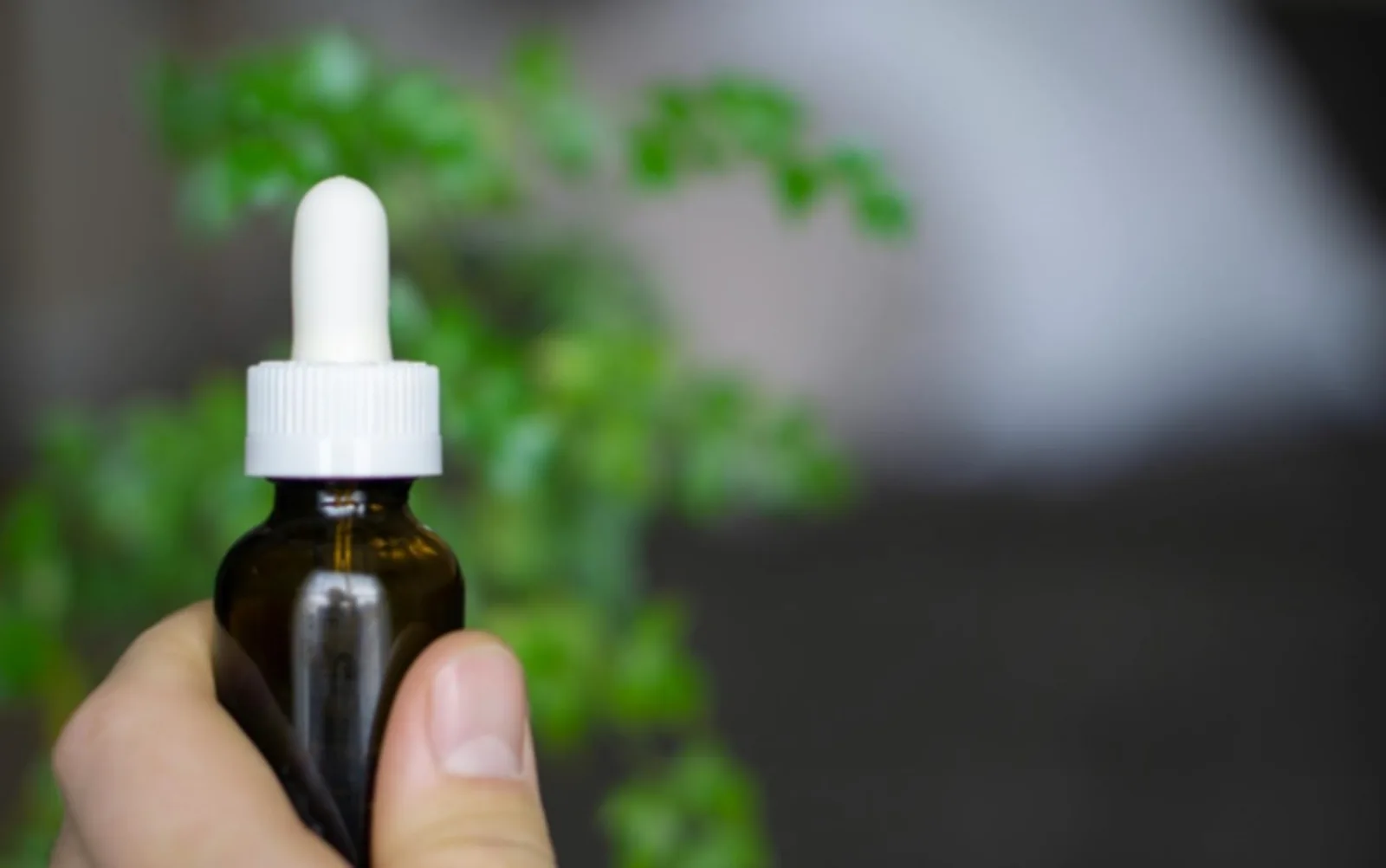 SUS de São Paulo amplia acesso a canabidiol nacional para epilepsias resistentes