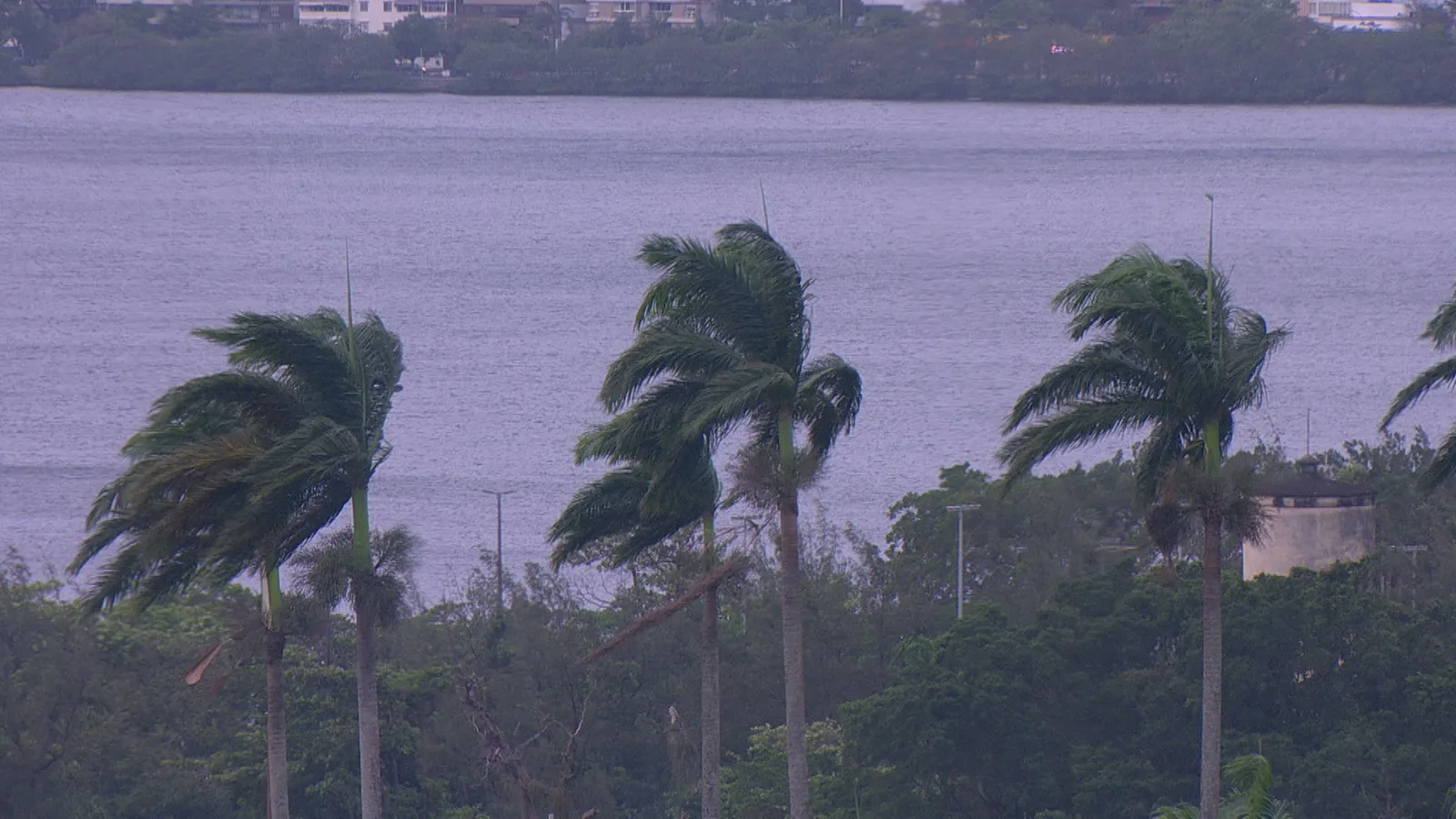 Ventania cancela voos e derruba poste e árvore no Rio de Janeiro