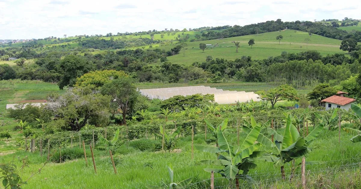 ITR pode subir quase 600% em cidades do Noroeste de Minas