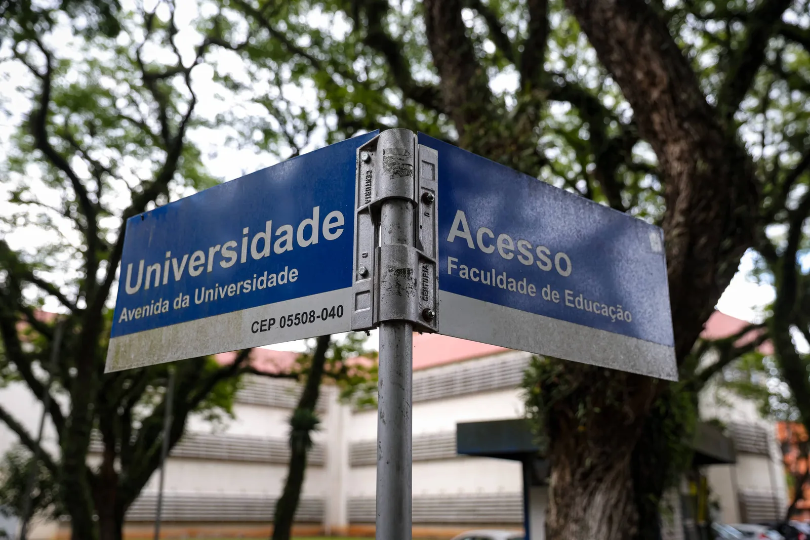 USP tem 1,5% de docentes pretos, pardos e indígenas no topo da carreira