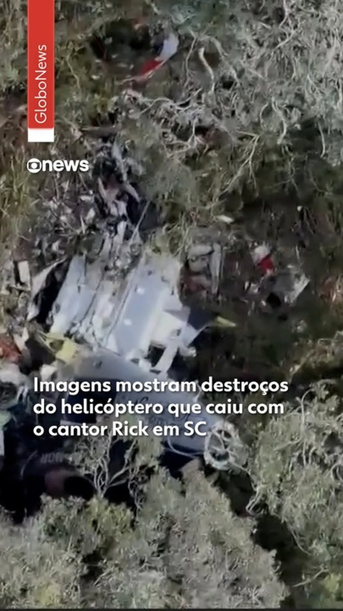 Equipe confirma morte de empresário após queda de helicóptero em Santa Catarina