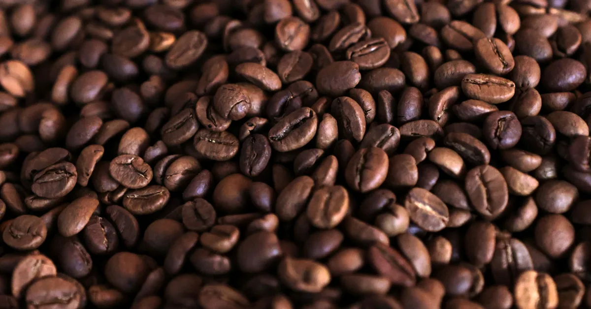 Minas cria fundo de R$ 100 milhões para financiar cadeia do café