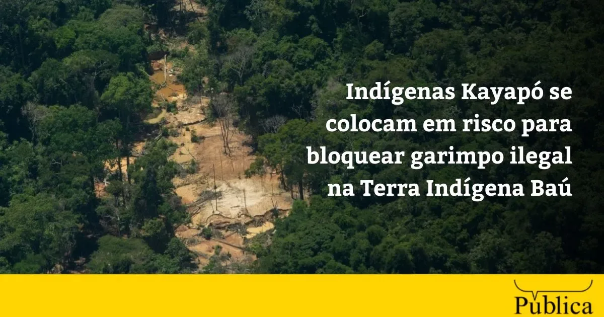 Kayapó fecham estrada e cobram retirada de invasores da Terra Indígena Baú