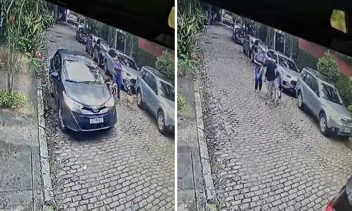 Motorista é preso após agredir médica e três cachorras no Rio