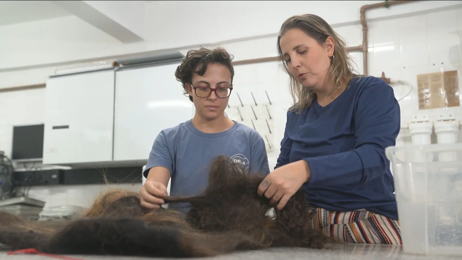 Fardos de cabelo são usados para filtrar poluentes na Baía de Guanabara