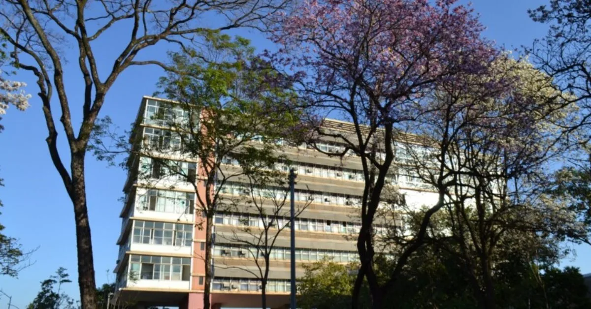 UFMG melhora nos cinco pilares do ranking mundial da THE