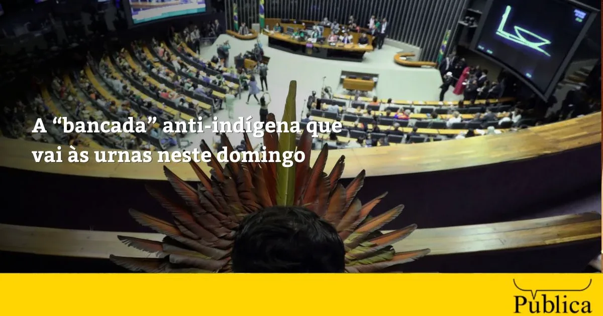 Levantamento aponta atuação de 370 parlamentares contra direitos indígenas