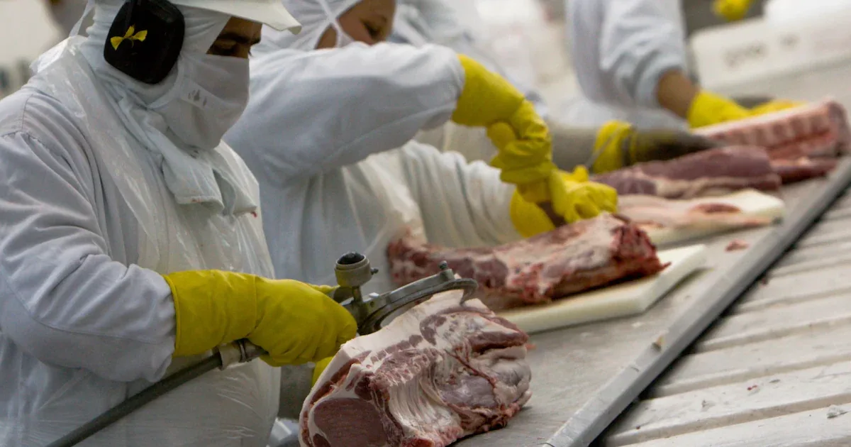MBRF lidera preferência do Santander, enquanto custos pressionam proteínas nos EUA