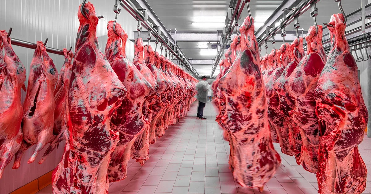 Auditoria da União Europeia é aguardada para liberar carne bovina brasileira